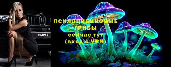 скорость mdpv Богородицк