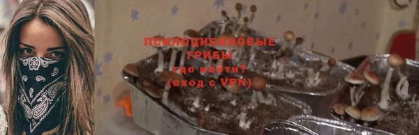 винт Богородск