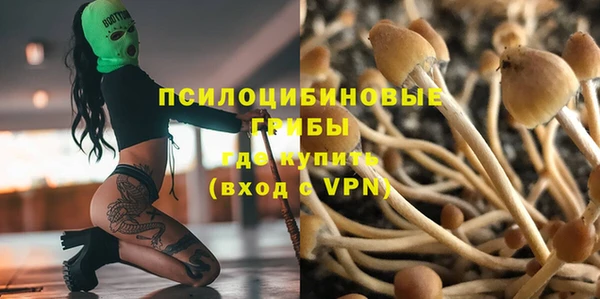винт Богородск
